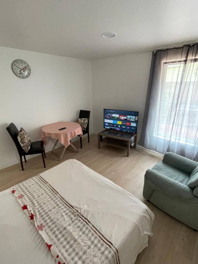 Grand Studio Pour 1 Ou 2 Personnes Schiltigheim Ngoại thất bức ảnh